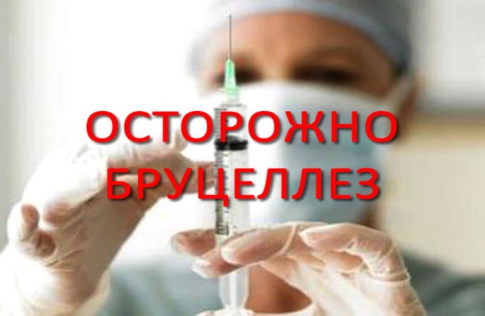 Бруцеллез — это опасно!.