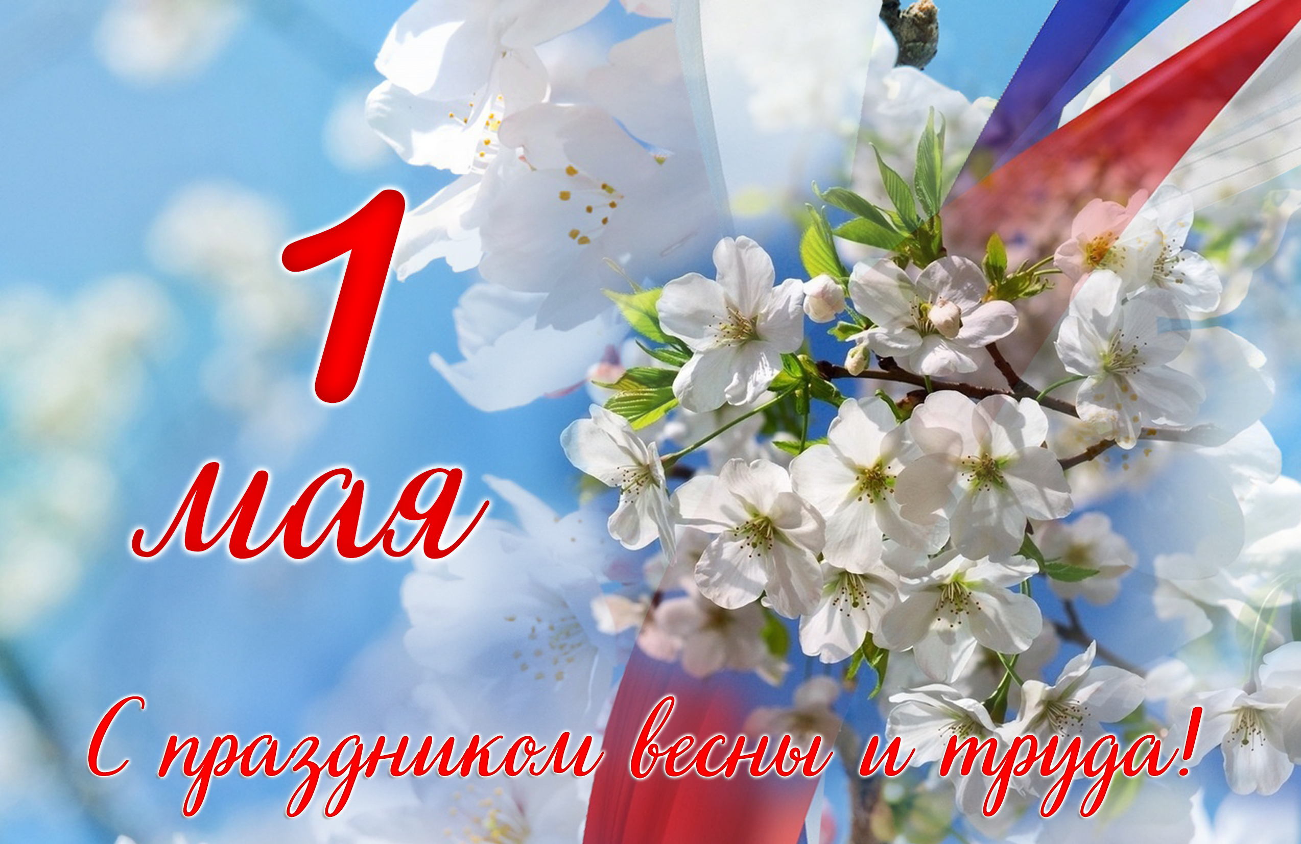 МИР ТРУД МАЙ!.