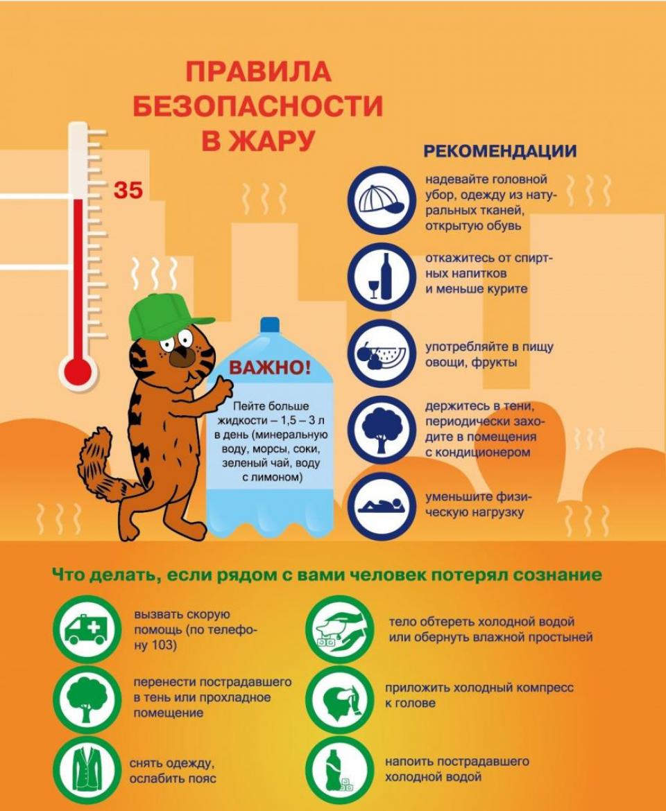 Сильная жара!.